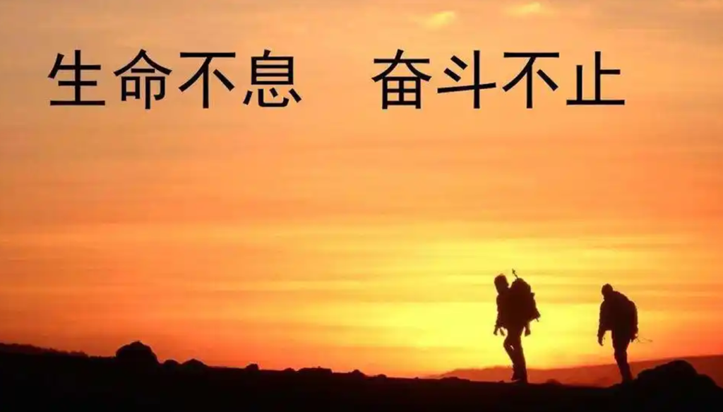 招募站长智小邦项目网-专注分享网络创业项目落地实操课程 – 全网首发_高质量创业项目输出智小邦项目网